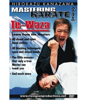 DVD TE-WAZA par Hirokazu KANAZAWA