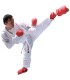 Karategui Shureido Waza, Kumite homologado WKF