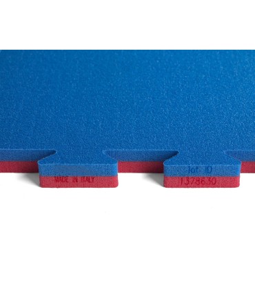 Tatami ECONOMIC, Jigsaw Mat 100 x 100 x 2,2 cm, RED-BLUE reversible