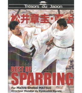 DVD BEST OF SPARRING de Karaté Kyokushinkai 