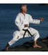Karategui Shureido Mugen Instructor
